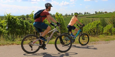 Übungen für Radfahrer - diese musst du kennen Übungen für Radfahrer - diese musst du kennen