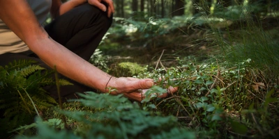 Waldbaden – mit offenen Sinnen den Wald spüren Waldbaden
